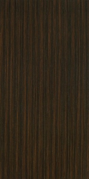 ModernWood Texture