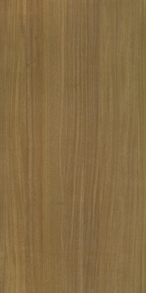 ModernWood Texture
