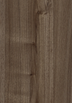 ModernWood Texture