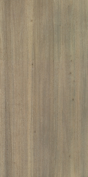 ModernWood Texture