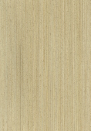 ModernWood Texture