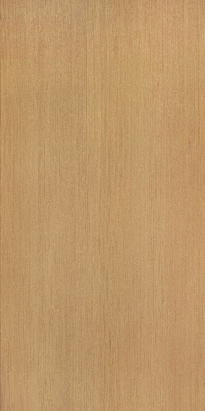 ModernWood Texture