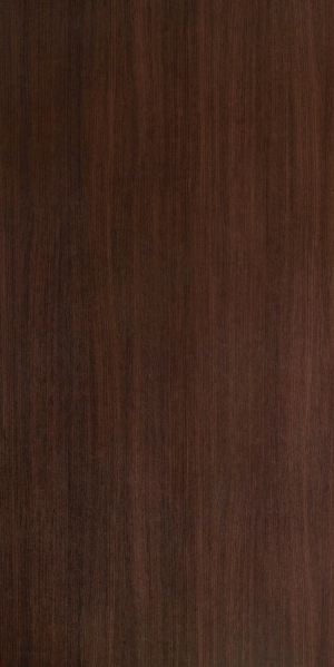 ModernWood Texture