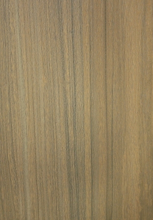 ModernWood Texture