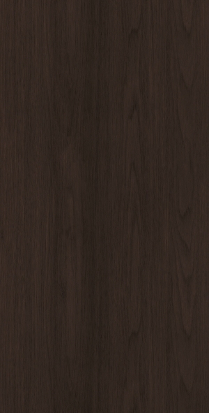 ModernWood Texture