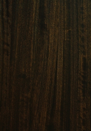 ModernWood Texture