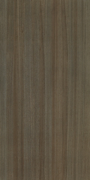 ModernWood Texture