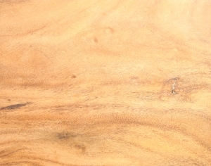ModernWood Texture