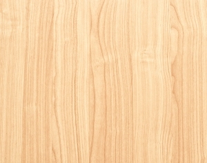 ModernWood Texture