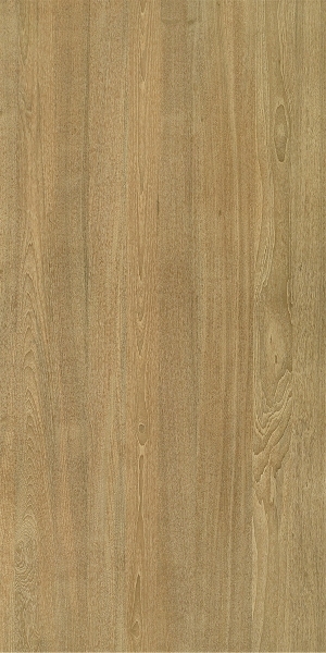 ModernWood Texture