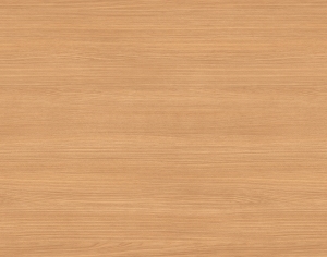 ModernWood Texture