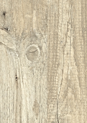 ModernWood Texture