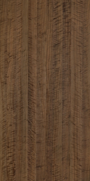 ModernWood Texture
