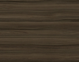 ModernWood Texture