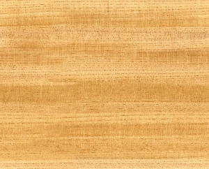 ModernWood Texture