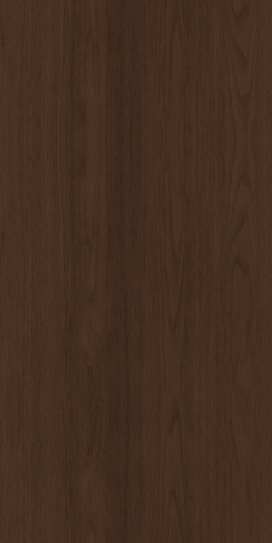 ModernWood Texture