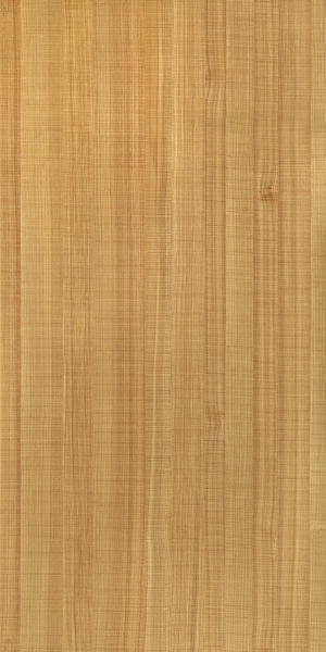 ModernWood Texture