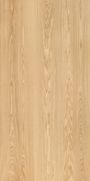 ModernWood Texture