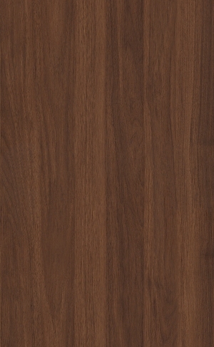 ModernWood Texture