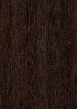 ModernWood Texture