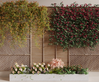 Modern Vine-ID:761308913