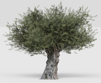 Modern Tree-ID:959017994