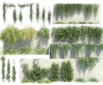 Modern Vine-ID:587312946