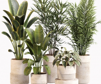 Modern Ground Green Plant Potted Plants-ID:787921911
