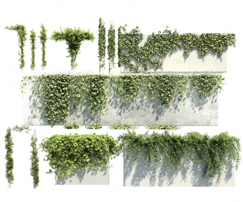 Modern Vine-ID:688555006