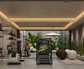Modern Home Fitness Room-ID:465492969