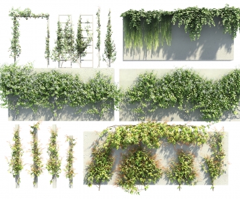 Modern Vine-ID:257101197