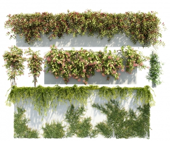 Modern Vine-ID:664418941