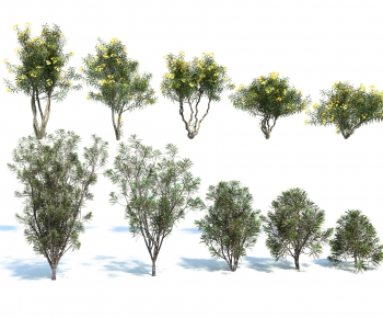 Modern Tree-ID:138757946