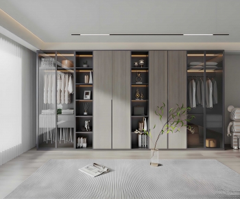 Modern Clothes Storage Area-ID:976711999