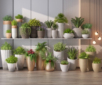 Modern Ground Green Plant Potted Plants-ID:961054098