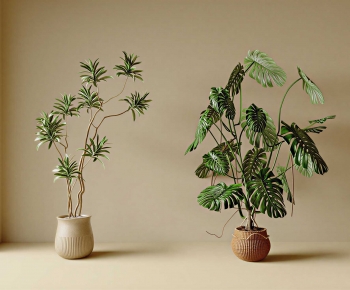 Modern Ground Green Plant Potted Plants-ID:422492984