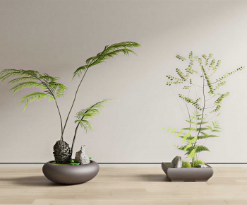New Chinese Style Potted Green Plant-ID:556296113