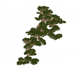 Modern Tree-ID:858936071