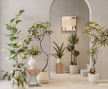 Modern Ground Green Plant Potted Plants-ID:445859913