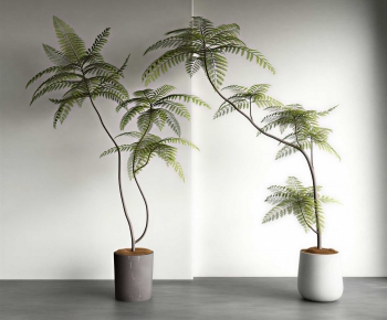Modern Ground Green Plant Potted Plants-ID:914537912