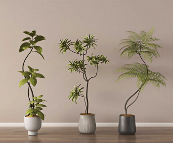 Modern Ground Green Plant Potted Plants-ID:512139815