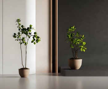 Modern Ground Green Plant Potted Plants-ID:709238053