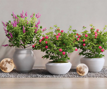 Modern Potted Green Plant-ID:811306956