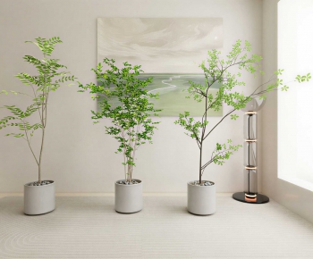 Modern Ground Green Plant Potted Plants-ID:553946976