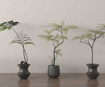 Modern Ground Green Plant Potted Plants-ID:102100468