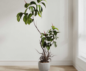 Modern Ground Green Plant Potted Plants-ID:167988062