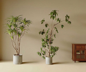 Modern Ground Green Plant Potted Plants-ID:902318958