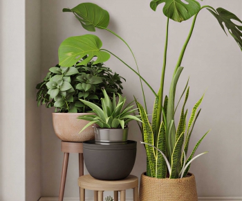 Modern Potted Green Plant-ID:776573903