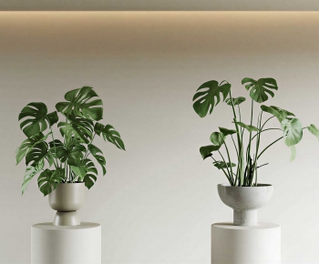 Modern Potted Green Plant-ID:223764905