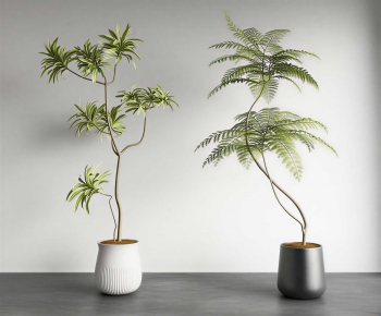 Modern Ground Green Plant Potted Plants-ID:457490921